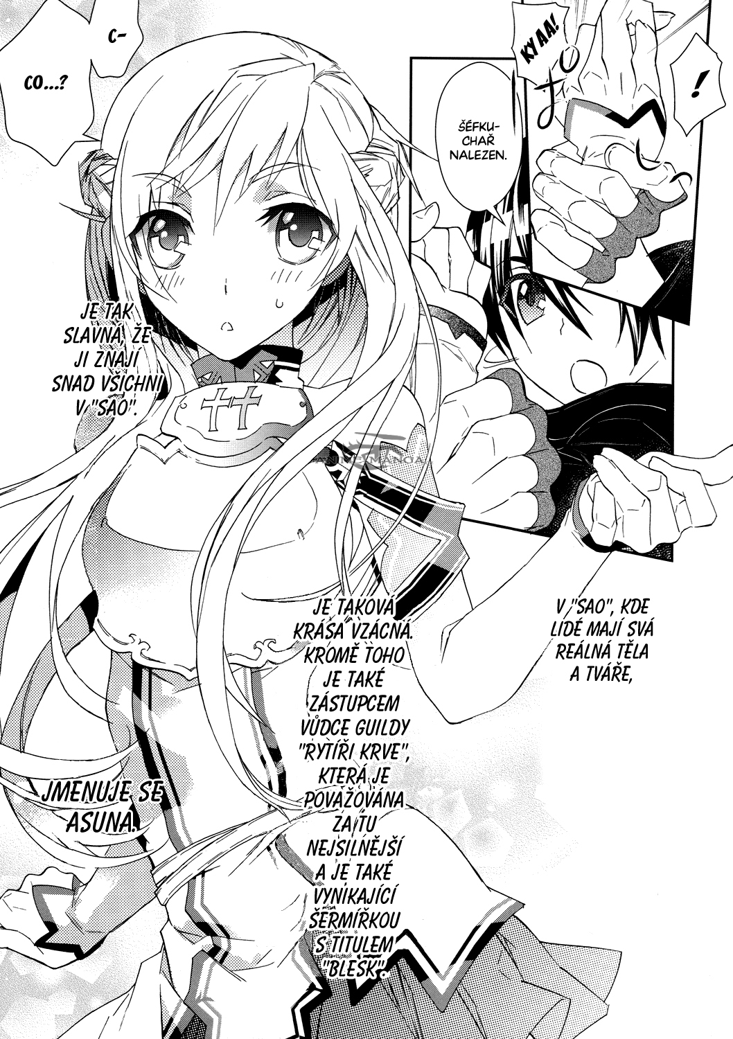 Sword_Art_Online_c03_007 kopie.jpg